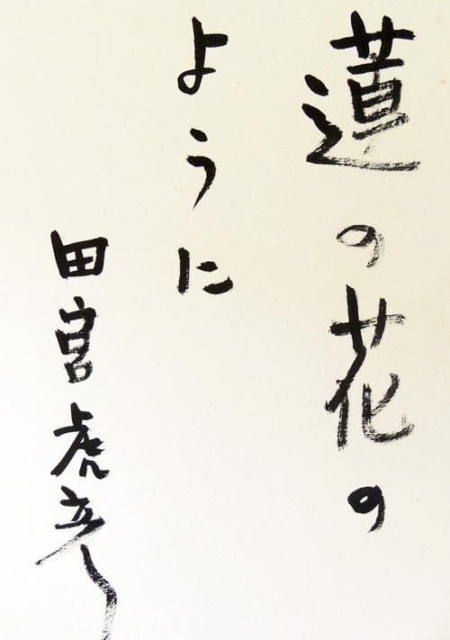 ● 田宮虎彦 ● 直筆色紙《 蓮の花のように 》昭和の小説家 足摺岬・絵本