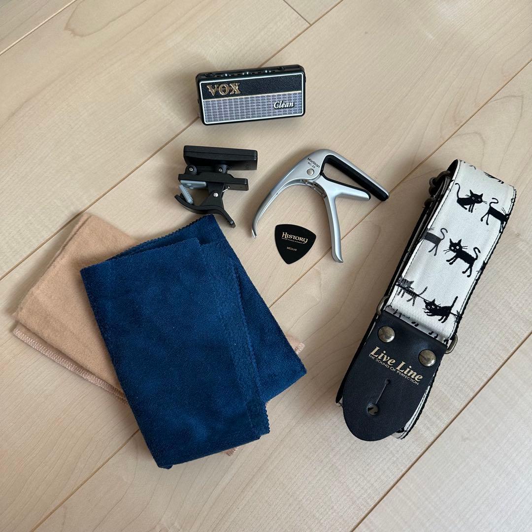 ギター　ヒストリー　history