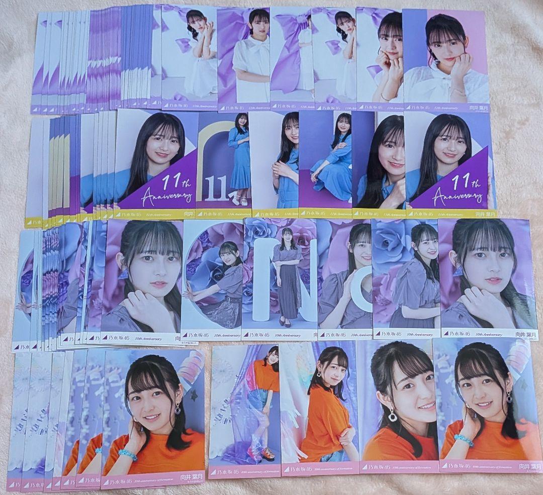 【大量2000↑】 向井葉月 生写真 セット まとめ売り