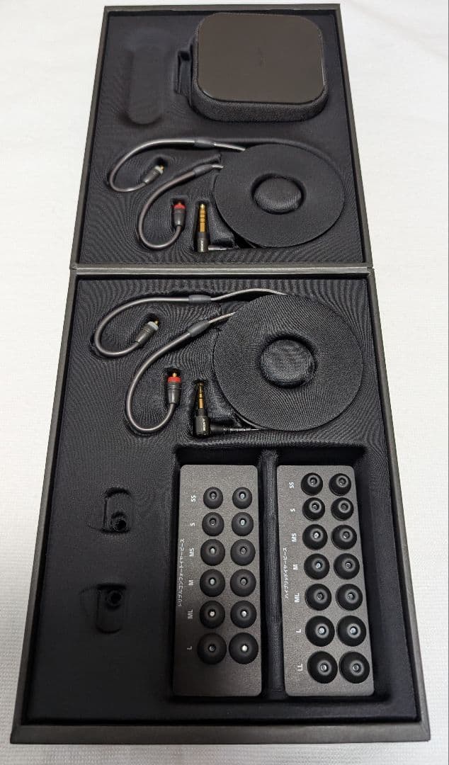 さ*ま様 極美品！SONY IER-M9