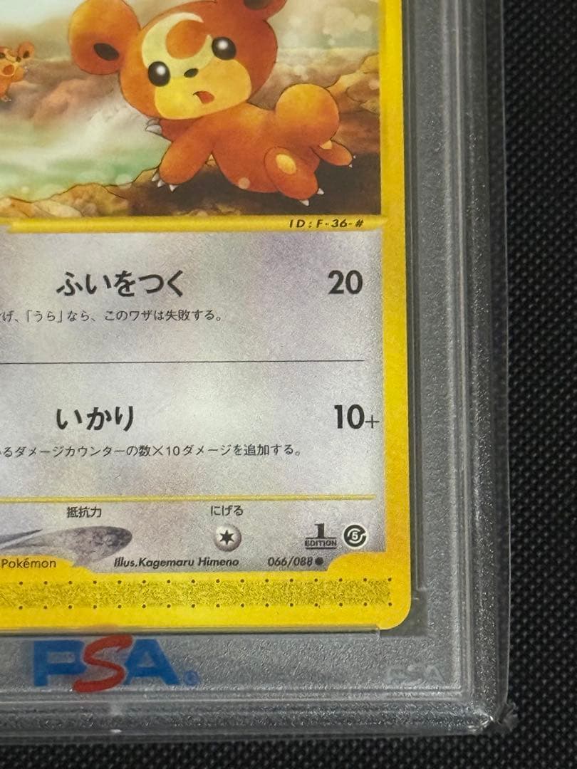 ヒメグマ　温泉　psa10 066/088 カードe