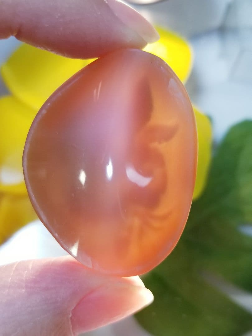 KS-170 天然シェルカメオルース　サイン有り‼️