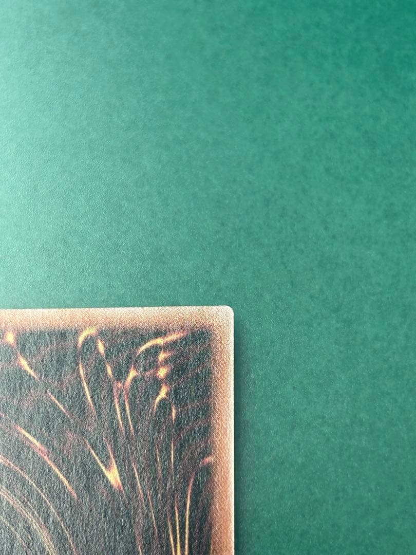 遊戯王 墓穴の指名者 墓坑の指名者 絵違い 25th シークレットカード