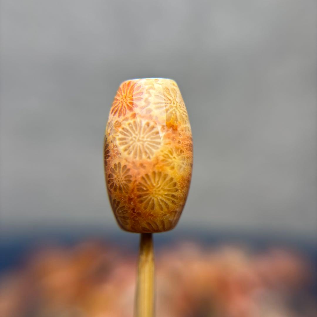 あずきちゃんフォッシルコーラル　天珠　1-293