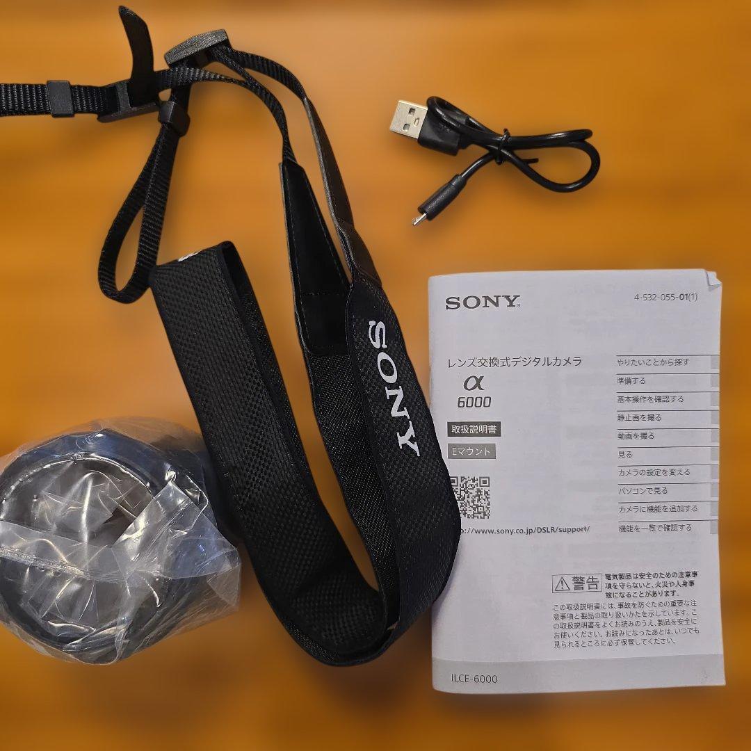 SONY α6000 ILCE-6000Y-B ダブルズームレンズキッド　ソニー