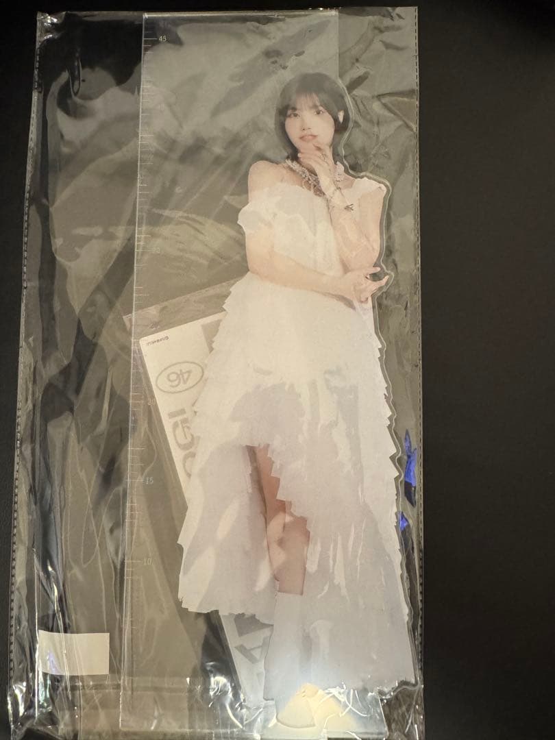 中西アルノ　46cm アクリルスタンド