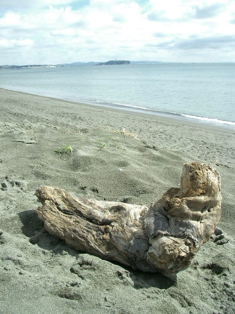 実写美⭕️美品【動作確認済】 CASIO EXILIM ZOOM EX-Z3