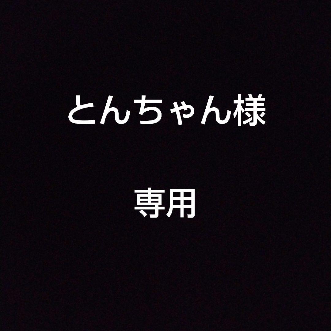 とんちゃんページ