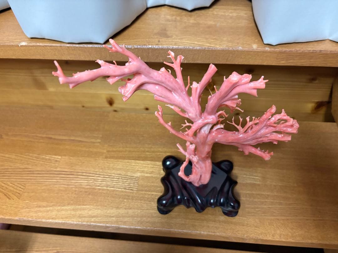 サンゴ の置物