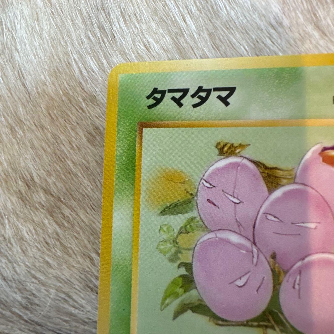 タマタマ ◆ 第2弾拡張パック ポケモンジャングル