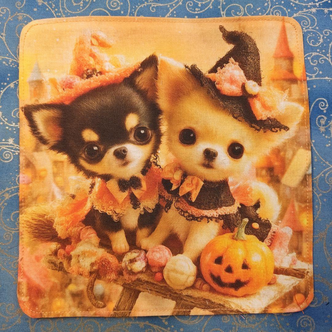 ななちゃん　ハンカチ　ねこちゃん柄 17枚