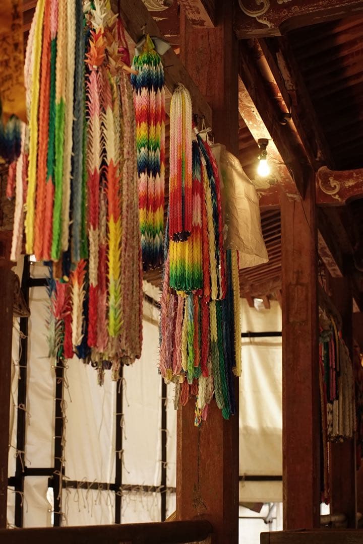 作例付き　Nikon Ai 50mm F1.2 管mpr