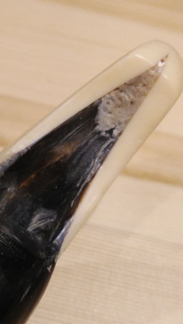 【貴重な素材】三線用バチ 黒と白のツートンカラー