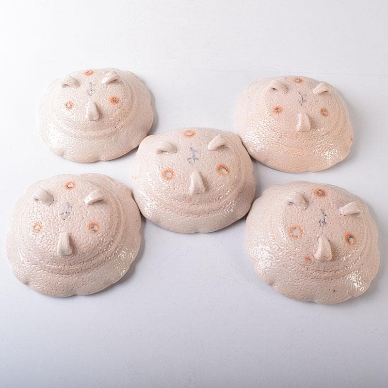 和食器　美濃焼　陽山窯　三代　水野雅之作　志野向付　五客揃　共箱　VR8272H