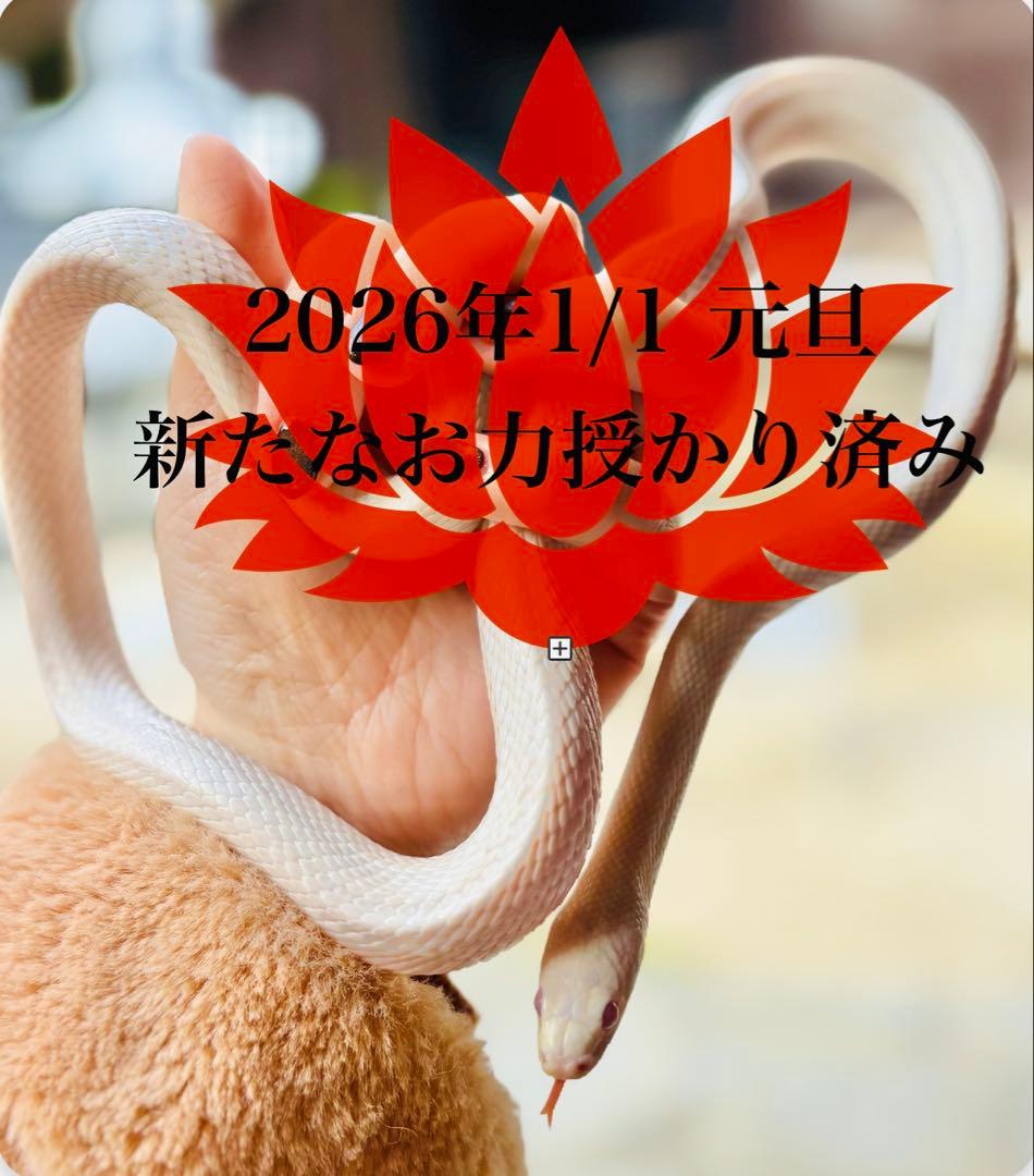 龍紋瑪瑙天珠♥モリオン♥強力グラウディング♥強い守護♥自己肯定感潜在能力引き出し