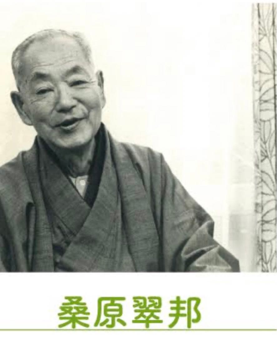 【希少！一点物！入手困難！】桑原翠邦先生 書作品 「含絨」