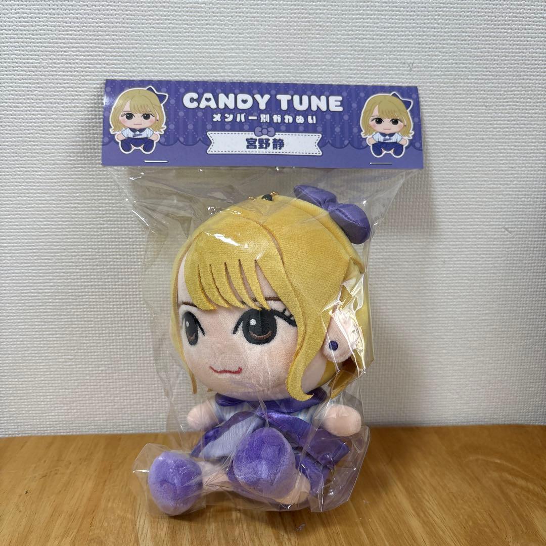 CANDY TUNE 宮野静　メンバー別かわぬい　ちびぬい
