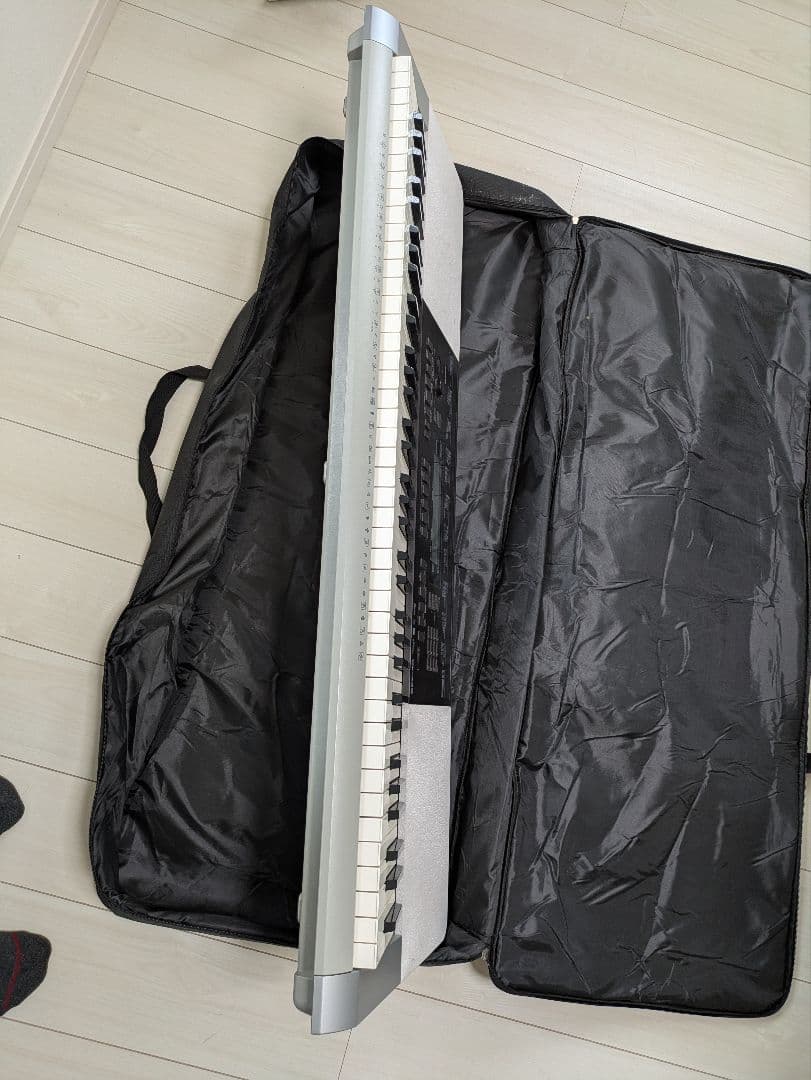 カシオWK-220 専用ケース付き