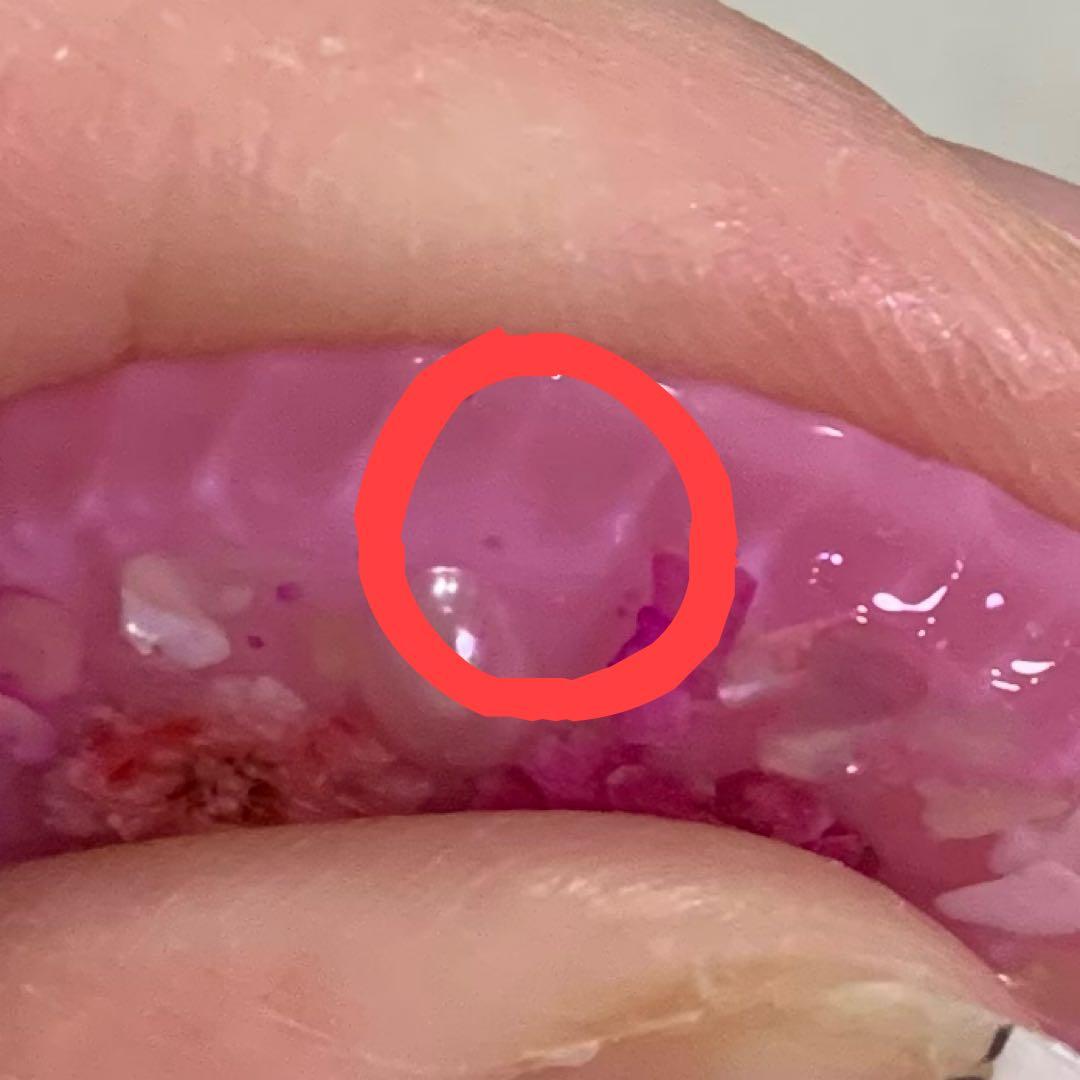 【3668】難あり・シマエナガ ピンクラウンドヘアゴム ピンク系のかすみ草