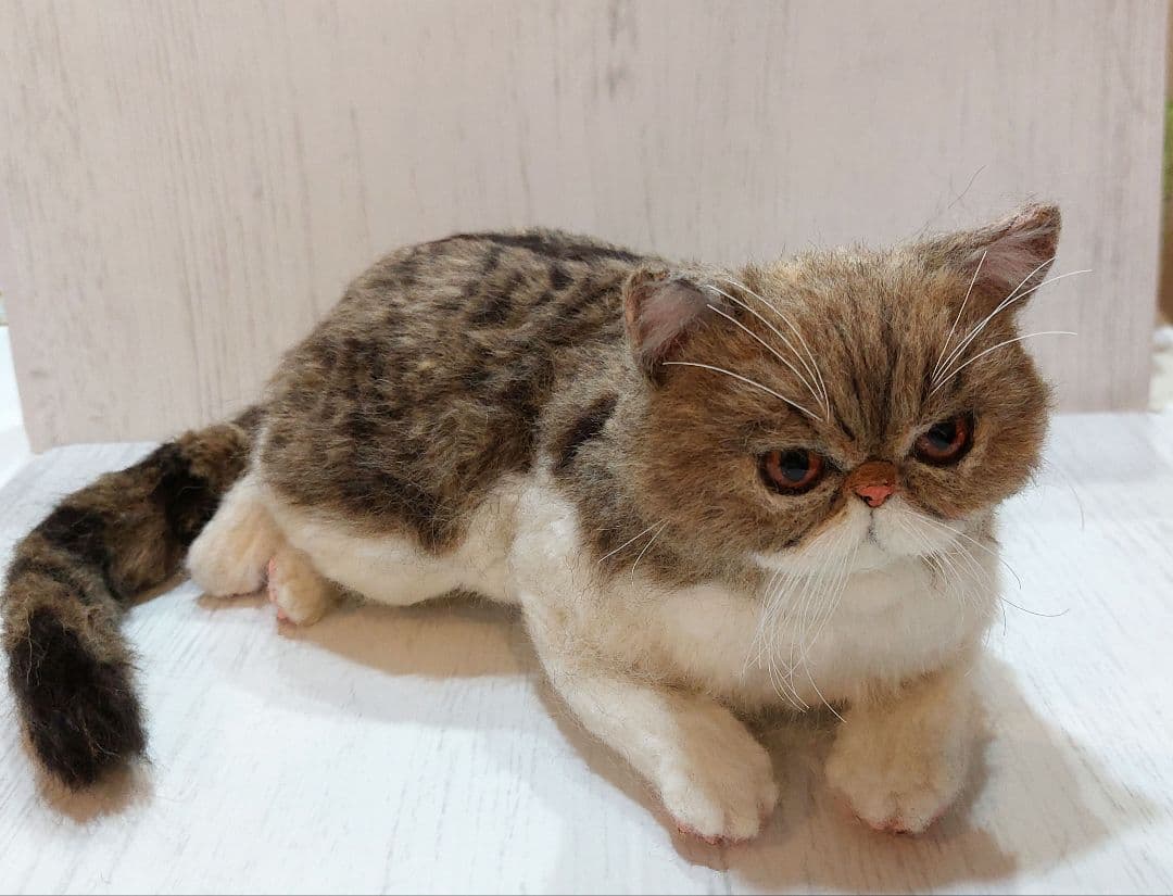 羊毛フェルト　猫　(エキゾチックショートヘア)