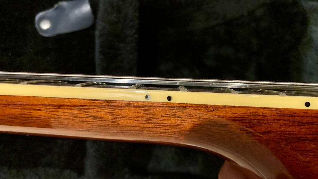 【ハードケース付】Orville オービル レスポール ゴールドトップ